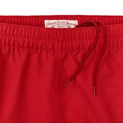 Cooper Lake Trunks