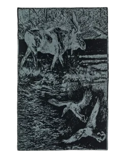 Cotton Blanket