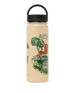 Insulated Water Bottle