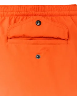 Oxbow Lake Trunks